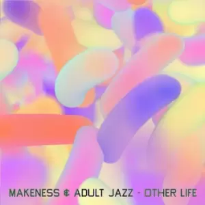 Image of Other Life by Makeness & Adult Jazz Vinyl Album