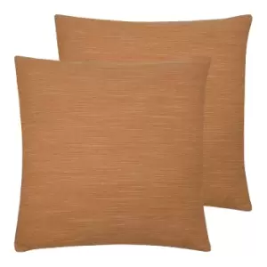 Image of Dalton Twin Pack Polyester Filled Cushions