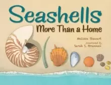 Image of Seashells : More Than a Home