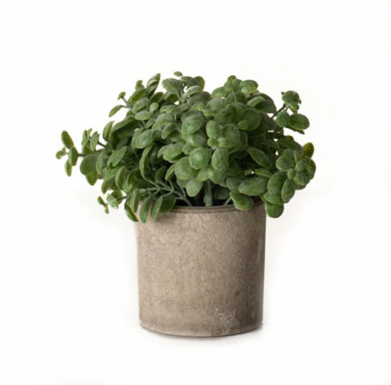 Image of Basil Plant In Stone Effect Pot Artificial Plant - Plastic - L16 X W16 X H15cm - Green
