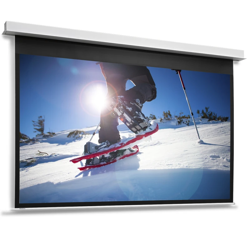 Image of Da-Lite DescenderPro projection screen 2.95 m (116.1") 16:10