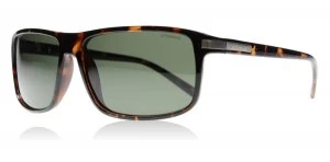 Image of Polaroid PLD 2019/S Sunglasses Tortoise PZO Polariserade 60mm