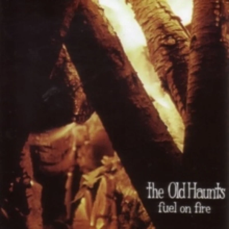 Image of Fuel On Fire Vinyl