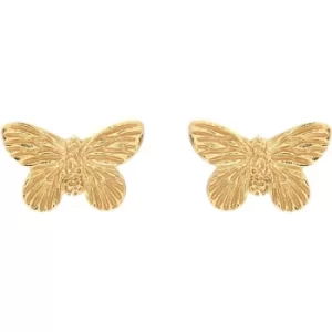 Image of Ladies Olivia Burton Gold Plated Sterling Silver 3D Butterfly Studs