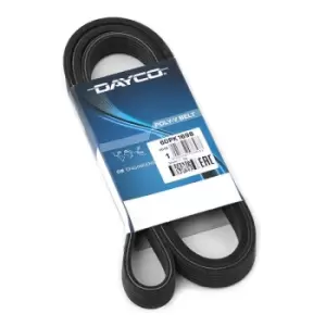 Image of DAYCO V-ribbed belt 6DPK1698 Serpentine belt,Auxiliary belt BMW,3 Touring (E91),3 Limousine (E90),1 Schragheck (E87),3 Coupe (E92),1 Schragheck (E81)