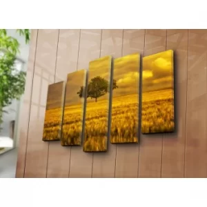 Image of 5PATK-168 Multicolor Decorative Canvas Painting (5 Pieces)