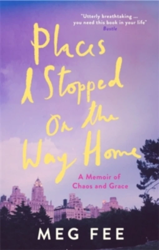 Image of Places I Stopped on the Way Home : A Memoir of Chaos and Grace Paperback / softback