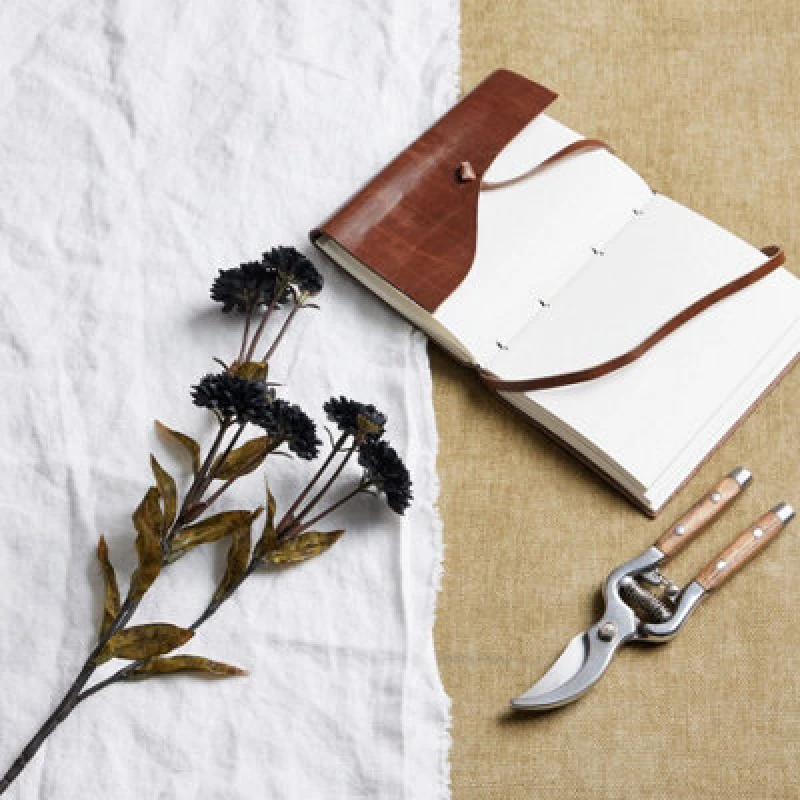 Image of Black Chrysanthemum