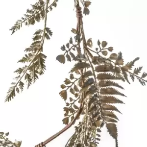 Image of Crossland Grove Morgan Leaf Garland Champagne Gold 1830Mm
