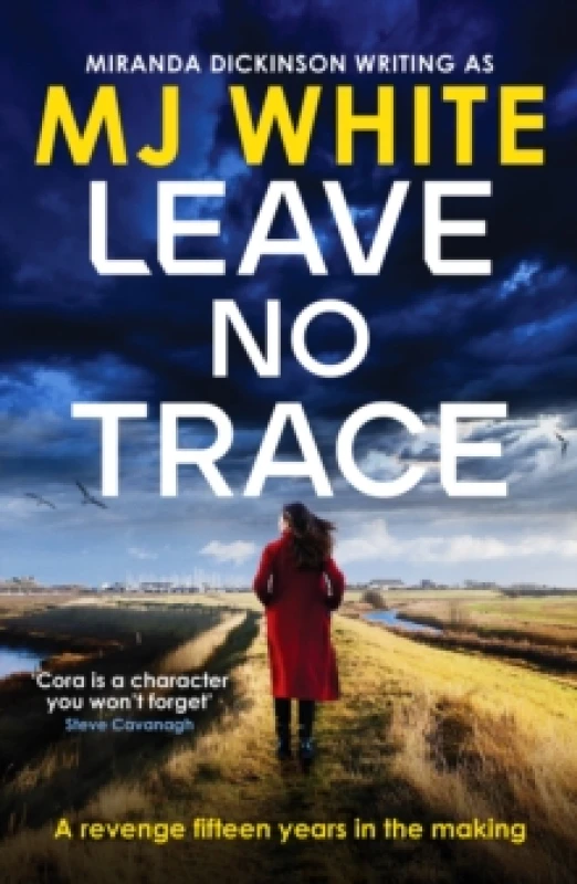 Image of Leave No Trace : A suspenseful, twisty detective novel Paperback / softback