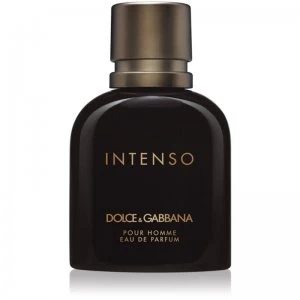 Image of Dolce & Gabbana Pour Homme Intenso Eau de Parfum For Him 40ml