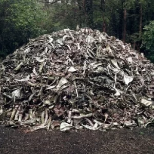 Image of II by Briqueville CD Album