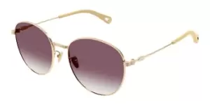 Image of Chloe Sunglasses CH0181SK Asian Fit 003