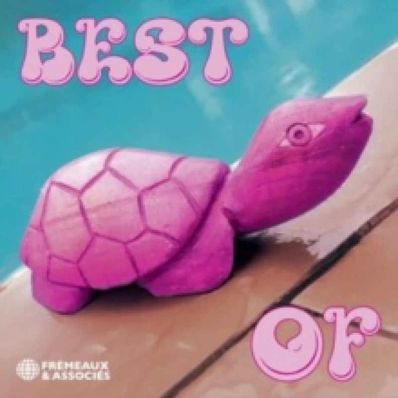 Image of Best of Pink Turtle CD / Album