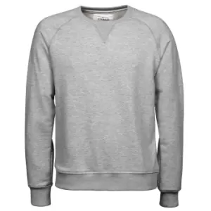 Image of Tee Jays Mens Urban Sweatshirt (L) (Heather Grey)