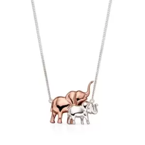 Image of Allegory Symbols Silver & Rose Mum & Baby Elephant Necklace