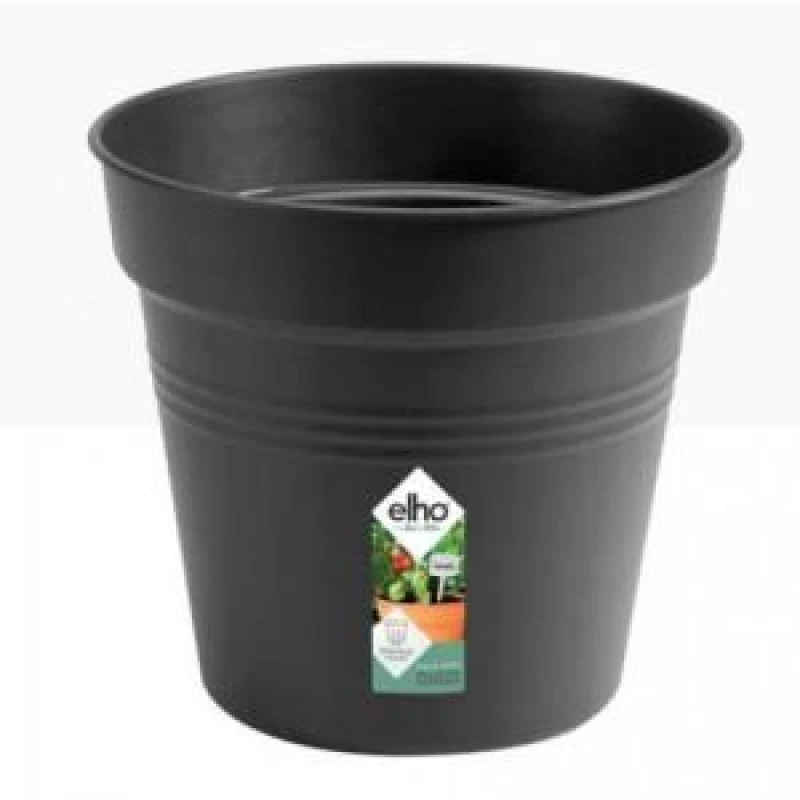 Image of Elho Green Basics Growpot 13cm - Living Black 6811211343300