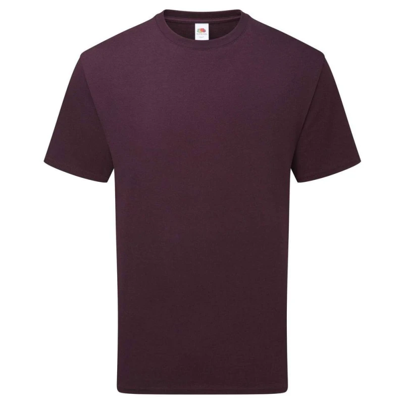 Image of Fruit of the Loom Mens Pure Cotton T-Shirt in Purple Size: Small Purple Male S