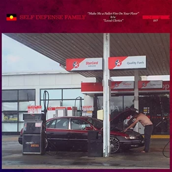 Image of Self Defense Family - Make Me A Pallet Fire On Your Floor / Local Clerics Vinyl