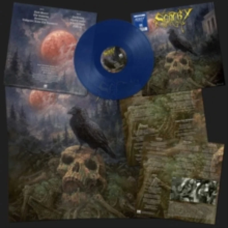 Image of Sentry Vinyl