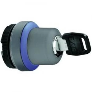 Image of Key switch Metal 1 x 40 RAFI