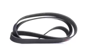 Image of RIDEX V-ribbed belt AUDI,FORD,MAZDA 305P0069 06C903137C,1004486,1036916 Serpentine belt,Auxiliary belt,Poly V-belt,Ribbed belt,Multi V-belt,Poly belt