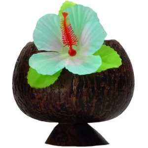 Image of Hawaii Coconut Cup