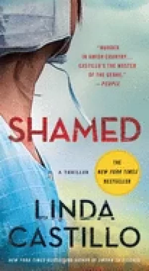 Image of shamed a novel of suspense