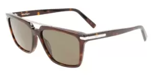 Image of Salvatore Ferragamo Sunglasses SF 1037S 240