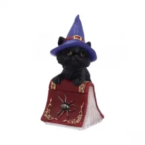 Image of Hocus Black Cat Spellbook Figurine