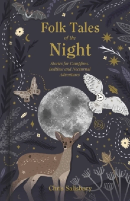 Image of Folk Tales of the Night : Stories for Campfires, Bedtime and Nocturnal Adventures Hardback