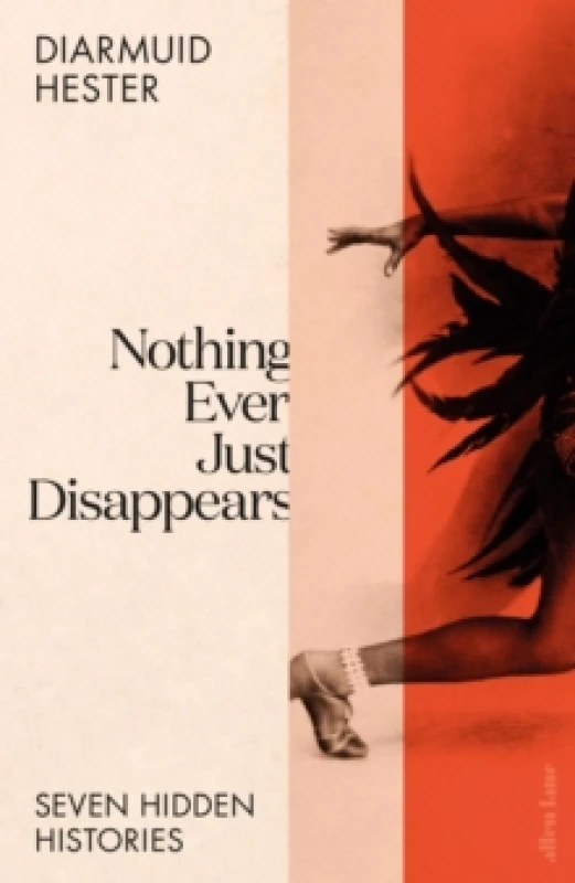 Image of Nothing Ever Just Disappears. Hardback. By Diarmuid Hester Books