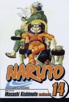 Image of Naruto, Vol. 14