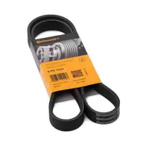 Image of CONTITECH V-ribbed belt RENAULT,PEUGEOT,HYUNDAI 6PK1210 55567558,55567560,55567561 5750QL,5750QN,2521204531,2521204532,2521204600,2521204600,5750QL