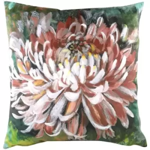 Image of Evans Lichfield Winter Florals Chrysanthemum Cushion Cover (One Size) (Terracotta) - Terracotta