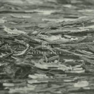 Image of Etym - Trial 02 Vinyl