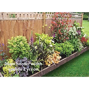 Image of Garden On A Roll Mixed Shady Border Pack 5m x 60cm Plants