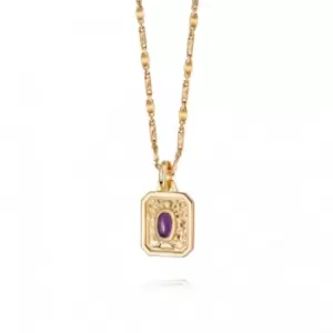 Image of February Birthstone 18ct Gold Plated Necklace BS02_GP