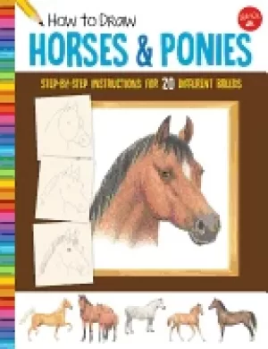 Image of how to draw horses and ponies step by step instructions for 20 different br