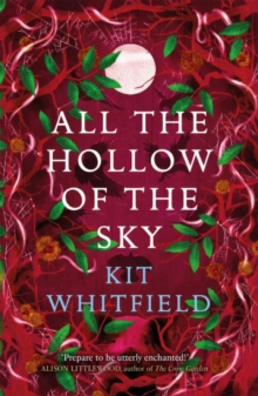 Image of All the Hollow of the Sky : An enthralling novel of fae, folklore and forests Paperback / softback