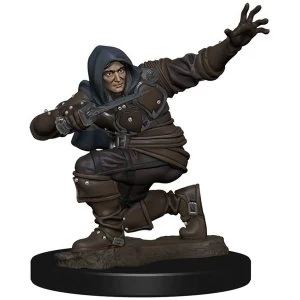 Image of Pathfinder Battles - Male Human Rogue Pre-painted Figure