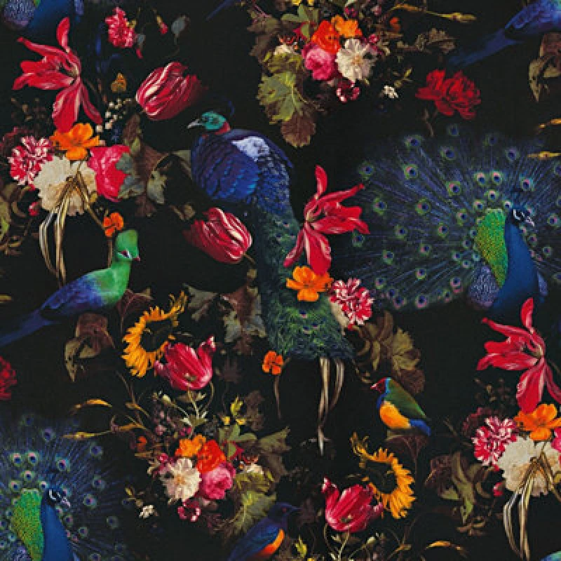 Image of Erismann Peacocks Flowers Floral Wallpaper Black Red Blue Paste The Wall Vinyl, Black WL-6371-15