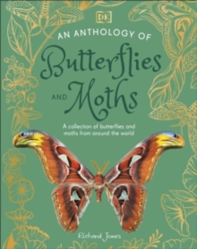 Image of An Anthology of Butterflies and Moths : A Collection of Butterflies and Moths from Around the World Hardback