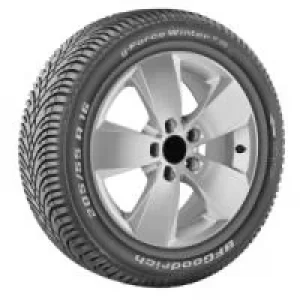 Image of BF Goodrich g-Force Winter 2 (255/45 R20 101V)