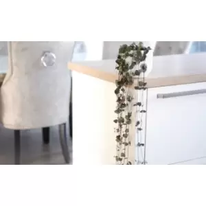 Image of Thompson & Morgan Thompson and Morgan String of Hearts 10cm Hanging Pot x 2