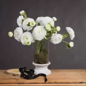 Image of White Ranunculus Spray