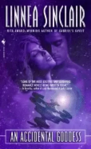 Image of accidental goddess a novel