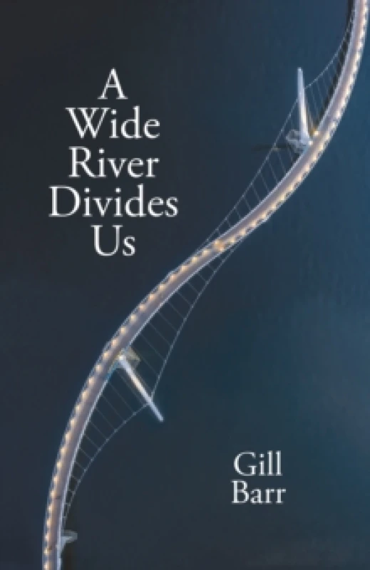Image of A Wide River Divides Us Paperback / softback