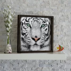 Image of KZM521 Brown White Black Mint Decorative Framed MDF Painting