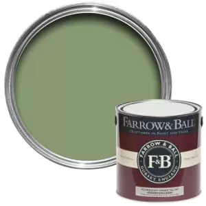 Image of Farrow & Ball Modern Emulsion Paint Yeabridge Green - 2.5L